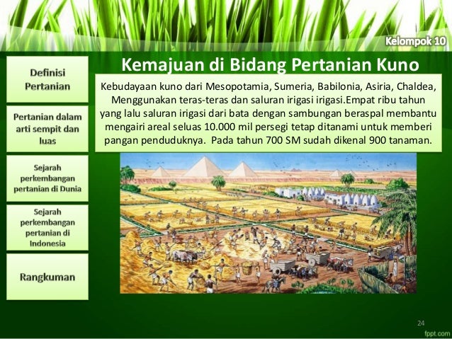 pengertian pertanian dan sejarah perkembangan pertanian pengertian pertanian dan sejarah perkembangan pertanian