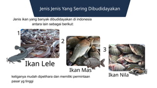 Jenis Jenis Yang Sering Dibudidayakan
Ikan Lele
Ikan Mas
Ikan Nila
3
2
1
Jenis ikan yang banyak dibudidayakan di indonesia
antara lain sebagai berikut:
ketiganya mudah dipelihara dan memiliki permintaan
pasar yg tinggi
 