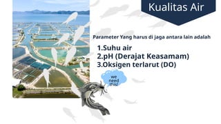 we
need
this!
Kualitas Air
1.Suhu air
2.pH (Derajat Keasamam)
3.Oksigen terlarut (DO)
Parameter Yang harus di jaga antara lain adalah
 