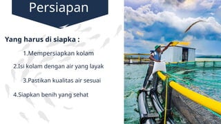 Persiapan
1.Mempersiapkan kolam
2.Isi kolam dengan air yang layak
4.Siapkan benih yang sehat
3.Pastikan kualitas air sesuai
Yang harus di siapka :
 