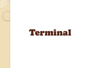 Terminal
 