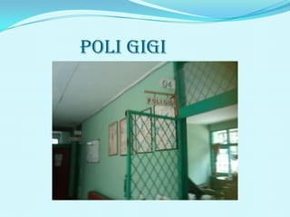 Poli gigi
 