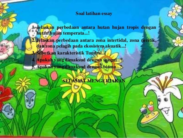 Jelaskan Perbedaan Antara Hutan Hujan Tropis Dengan Hutan Gugur
