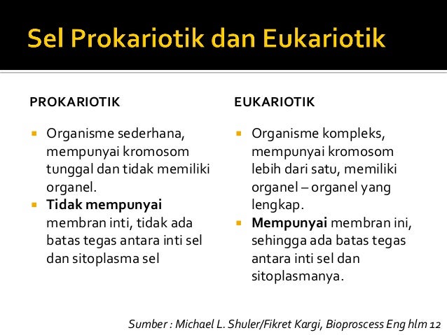 Perbedaan Proses Transkripsi Translasi Pada Sel Prokariot Dan Eukari Perbedaan Proses Transkripsi Translasi Pada Sel Prokariot Dan Eukari