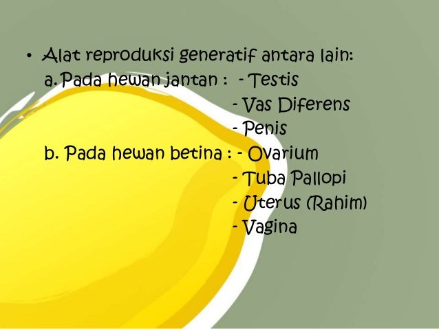 Tugas ppt fiswan reproduksi hewan 