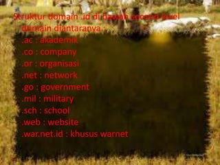 Struktur domain .id di bawah second level
domain diantaranya :
.ac : akademik
.co : company
.or : organisasi
.net : network
.go : government
.mil : military
.sch : school
.web : website
.war.net.id : khusus warnet

 