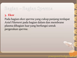 3. Ekor
Pada bagian ekor sperma yang cukup panjang terdapat
Axial Filament pada bagian dalam dan membrane
plasma dibagian luar yang berfungsi untuk
pergerakan sperma.
 