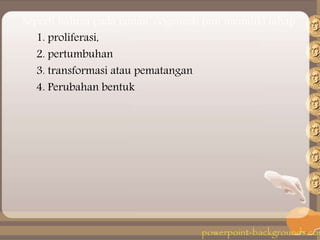 Seperti halnya pada jantan, oogenesis pun memiliki tahap :
1. proliferasi,
2. pertumbuhan
3. transformasi atau pematangan
4. Perubahan bentuk
 