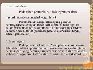 2. Pertumbuhan
Pada tahap pertumbuhan ini Oogonium akan
tumbuh membesar menjadi oogonium I.
Pertumbuhan sangat memegang peranan
penting,karena sebagian besar dari substansi telur dipakai
dalam perkembangan selanjutnya. Diferensiasi juga terdapat
pada periode tumbuh (spermatogenesis: diferensiasi terjadi
setelah pemasakan).
3. Pematangan
Pada proses ini terdapat 2 kali pembelahan meiosis.
Setelah terjadi fase pertumbuhan, oogonium I mengalami tahap
pematangan, yang berlangsung secara meiosis. Akhir meiosis I
terbentuk oogonium II, dan akhir meiosis II terbentuk ootid.
 
