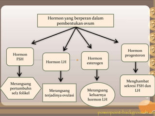 Hormon yang berperan dalam
pembentukan ovum
Hormon
FSH
Hormon LH
Hormon
esterogen
Hormon
progesteron
Merangsang
pertumbuhn
sel2 folikel
Merangsang
terjadinya ovulasi
Merangsang
keluarnya
hormon LH
Menghambat
sekresi FSH dan
LH
 