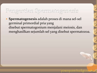  Spermatogenesis adalah proses di mana sel-sel
germinal primordial pria yang
disebut spermatogonium menjalani meiosis, dan
menghasilkan sejumlah sel yang disebut spermatozoa.
 