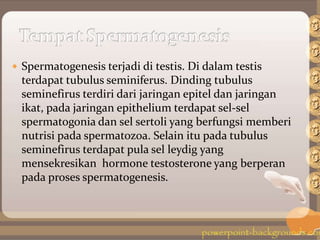  Spermatogenesis terjadi di testis. Di dalam testis
terdapat tubulus seminiferus. Dinding tubulus
seminefirus terdiri dari jaringan epitel dan jaringan
ikat, pada jaringan epithelium terdapat sel-sel
spermatogonia dan sel sertoli yang berfungsi memberi
nutrisi pada spermatozoa. Selain itu pada tubulus
seminefirus terdapat pula sel leydig yang
mensekresikan hormone testosterone yang berperan
pada proses spermatogenesis.
 
