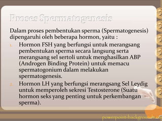 Dalam proses pembentukan sperma (Spermatogenesis)
dipengaruhi oleh beberapa hormon, yaitu :
1. Hormon FSH yang berfungsi untuk merangsang
pembentukan sperma secara langsung serta
merangsang sel sertoli untuk menghasilkan ABP
(Androgen Binding Protein) untuk memacu
spermatogonium dalam melakukan
spermatogenesis.
2. Hormon LH yang berfungsi merangsang Sel Leydig
untuk memperoleh sekresi Testosterone (Suatu
hormon seks yang penting untuk perkembangan
sperma).
 