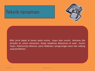 Teknik tanaman

Bibit jeruk dapat di tanam pada musim hujan atau musim kemarau jika
tersedia air untuk menyirami, tetapi sebaiknya ditanaman di awal musim
hujan. Sebelumnya ditanam, perlu dilakukan: pengurangan daun dan cabang
yang berlebihan.

1/6/2014

pratikum ke 2

5

 