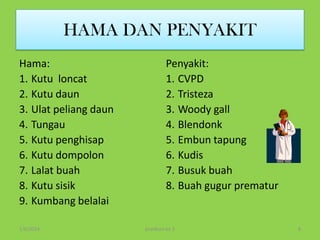 HAMA DAN PENYAKIT
Hama:
1. Kutu loncat
2. Kutu daun
3. Ulat peliang daun
4. Tungau
5. Kutu penghisap
6. Kutu dompolon
7. Lalat buah
8. Kutu sisik
9. Kumbang belalai
1/6/2014

Penyakit:
1. CVPD
2. Tristeza
3. Woody gall
4. Blendonk
5. Embun tapung
6. Kudis
7. Busuk buah
8. Buah gugur prematur

pratikum ke 2

6

 