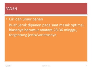 PANEN
• Ciri dan umur panen
Buah jeruk dipanen pada saat masak optimal,
biasanya berumur anatara 28-36 minggu,
tergantung jenis/varietasnya

1/6/2014

pratikum ke 2

7

 