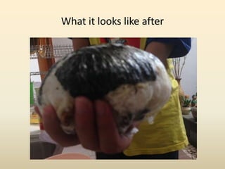 What it looks like after
 