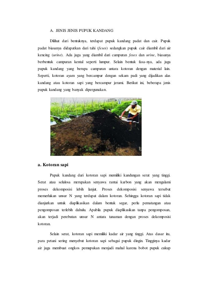 Tugas Pupuk Alami Randy 1210213079