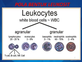 POLA BENTUK LEUKOSIT
 
