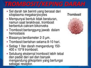 TROMBOSIT/KEPING DARAH
 