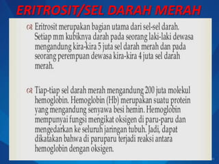 ERITROSIT/SEL DARAH MERAH
 