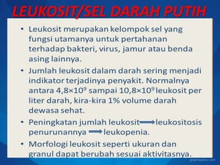 LEUKOSIT/SEL DARAH PUTIH
 