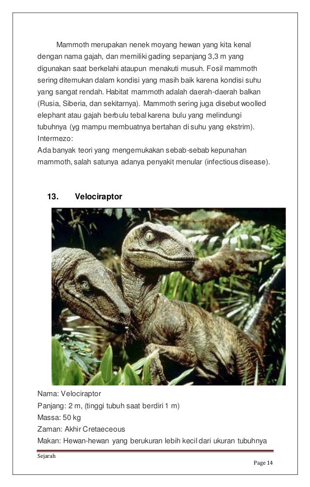 Artikel Sejarah Masa Prasejarah