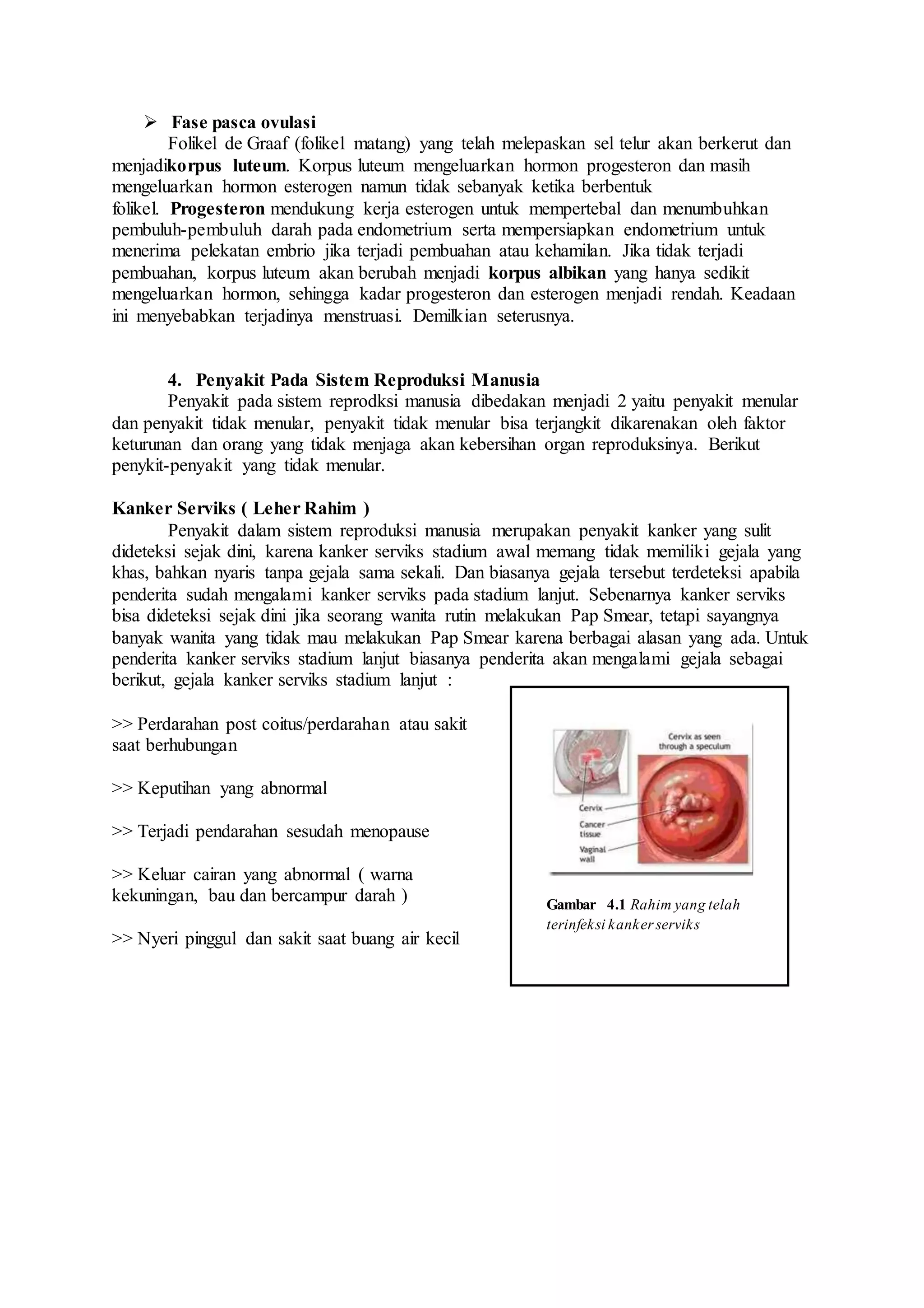  Fase pasca ovulasi
Folikel de Graaf (folikel matang) yang telah melepaskan sel telur akan berkerut dan
menjadikorpus luteum. Korpus luteum mengeluarkan hormon progesteron dan masih
mengeluarkan hormon esterogen namun tidak sebanyak ketika berbentuk
folikel. Progesteron mendukung kerja esterogen untuk mempertebal dan menumbuhkan
pembuluh-pembuluh darah pada endometrium serta mempersiapkan endometrium untuk
menerima pelekatan embrio jika terjadi pembuahan atau kehamilan. Jika tidak terjadi
pembuahan, korpus luteum akan berubah menjadi korpus albikan yang hanya sedikit
mengeluarkan hormon, sehingga kadar progesteron dan esterogen menjadi rendah. Keadaan
ini menyebabkan terjadinya menstruasi. Demilkian seterusnya.
4. Penyakit Pada Sistem Reproduksi Manusia
Penyakit pada sistem reprodksi manusia dibedakan menjadi 2 yaitu penyakit menular
dan penyakit tidak menular, penyakit tidak menular bisa terjangkit dikarenakan oleh faktor
keturunan dan orang yang tidak menjaga akan kebersihan organ reproduksinya. Berikut
penykit-penyakit yang tidak menular.
Kanker Serviks ( Leher Rahim )
Penyakit dalam sistem reproduksi manusia merupakan penyakit kanker yang sulit
dideteksi sejak dini, karena kanker serviks stadium awal memang tidak memiliki gejala yang
khas, bahkan nyaris tanpa gejala sama sekali. Dan biasanya gejala tersebut terdeteksi apabila
penderita sudah mengalami kanker serviks pada stadium lanjut. Sebenarnya kanker serviks
bisa dideteksi sejak dini jika seorang wanita rutin melakukan Pap Smear, tetapi sayangnya
banyak wanita yang tidak mau melakukan Pap Smear karena berbagai alasan yang ada. Untuk
penderita kanker serviks stadium lanjut biasanya penderita akan mengalami gejala sebagai
berikut, gejala kanker serviks stadium lanjut :
>> Perdarahan post coitus/perdarahan atau sakit
saat berhubungan
>> Keputihan yang abnormal
>> Terjadi pendarahan sesudah menopause
>> Keluar cairan yang abnormal ( warna
kekuningan, bau dan bercampur darah )
>> Nyeri pinggul dan sakit saat buang air kecil
Gambar 4.1 Rahim yang telah
terinfeksi kanker serviks
 