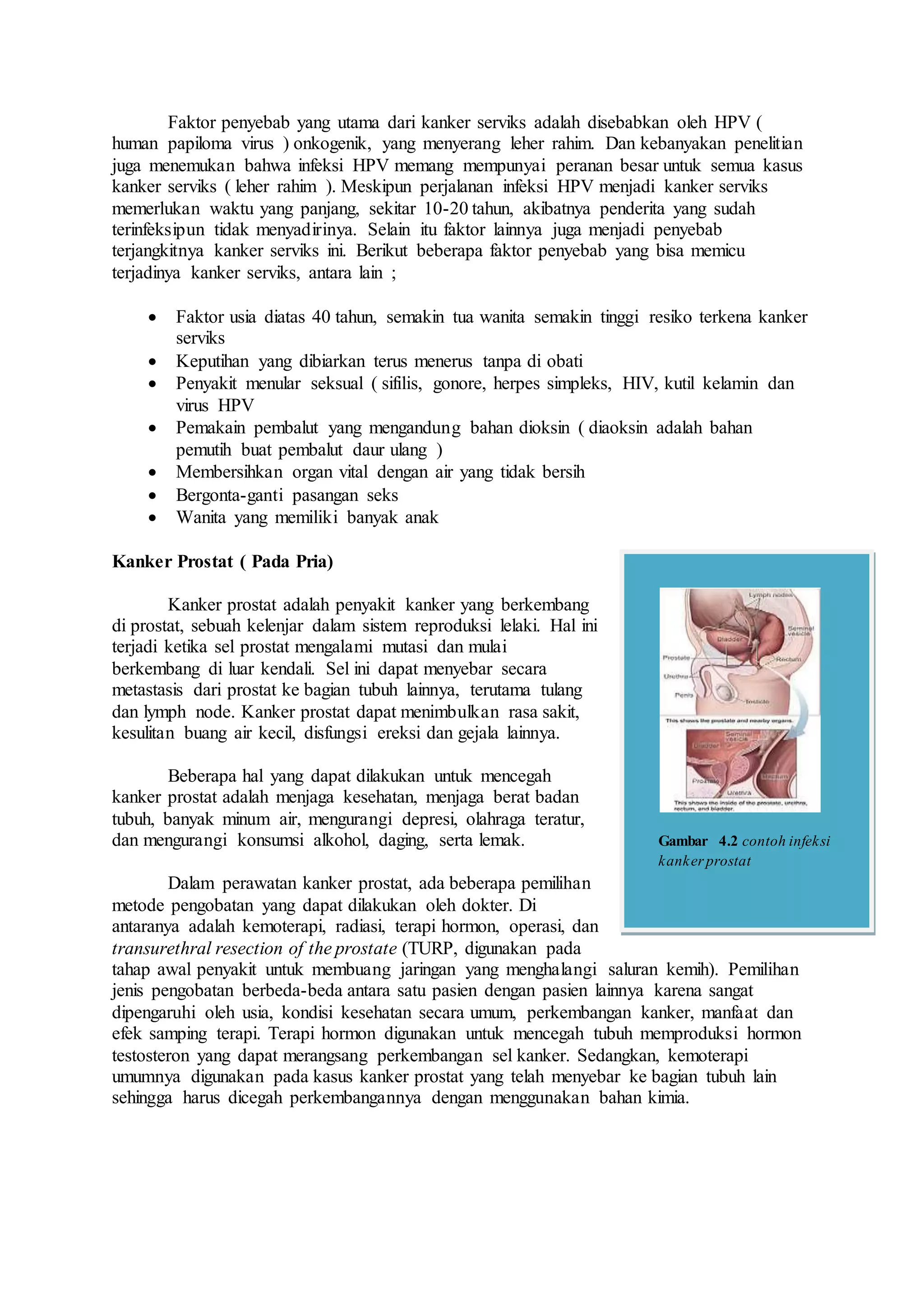 Faktor penyebab yang utama dari kanker serviks adalah disebabkan oleh HPV (
human papiloma virus ) onkogenik, yang menyerang leher rahim. Dan kebanyakan penelitian
juga menemukan bahwa infeksi HPV memang mempunyai peranan besar untuk semua kasus
kanker serviks ( leher rahim ). Meskipun perjalanan infeksi HPV menjadi kanker serviks
memerlukan waktu yang panjang, sekitar 10-20 tahun, akibatnya penderita yang sudah
terinfeksipun tidak menyadirinya. Selain itu faktor lainnya juga menjadi penyebab
terjangkitnya kanker serviks ini. Berikut beberapa faktor penyebab yang bisa memicu
terjadinya kanker serviks, antara lain ;
 Faktor usia diatas 40 tahun, semakin tua wanita semakin tinggi resiko terkena kanker
serviks
 Keputihan yang dibiarkan terus menerus tanpa di obati
 Penyakit menular seksual ( sifilis, gonore, herpes simpleks, HIV, kutil kelamin dan
virus HPV
 Pemakain pembalut yang mengandung bahan dioksin ( diaoksin adalah bahan
pemutih buat pembalut daur ulang )
 Membersihkan organ vital dengan air yang tidak bersih
 Bergonta-ganti pasangan seks
 Wanita yang memiliki banyak anak
Kanker Prostat ( Pada Pria)
Kanker prostat adalah penyakit kanker yang berkembang
di prostat, sebuah kelenjar dalam sistem reproduksi lelaki. Hal ini
terjadi ketika sel prostat mengalami mutasi dan mulai
berkembang di luar kendali. Sel ini dapat menyebar secara
metastasis dari prostat ke bagian tubuh lainnya, terutama tulang
dan lymph node. Kanker prostat dapat menimbulkan rasa sakit,
kesulitan buang air kecil, disfungsi ereksi dan gejala lainnya.
Beberapa hal yang dapat dilakukan untuk mencegah
kanker prostat adalah menjaga kesehatan, menjaga berat badan
tubuh, banyak minum air, mengurangi depresi, olahraga teratur,
dan mengurangi konsumsi alkohol, daging, serta lemak.
Dalam perawatan kanker prostat, ada beberapa pemilihan
metode pengobatan yang dapat dilakukan oleh dokter. Di
antaranya adalah kemoterapi, radiasi, terapi hormon, operasi, dan
transurethral resection of the prostate (TURP, digunakan pada
tahap awal penyakit untuk membuang jaringan yang menghalangi saluran kemih). Pemilihan
jenis pengobatan berbeda-beda antara satu pasien dengan pasien lainnya karena sangat
dipengaruhi oleh usia, kondisi kesehatan secara umum, perkembangan kanker, manfaat dan
efek samping terapi. Terapi hormon digunakan untuk mencegah tubuh memproduksi hormon
testosteron yang dapat merangsang perkembangan sel kanker. Sedangkan, kemoterapi
umumnya digunakan pada kasus kanker prostat yang telah menyebar ke bagian tubuh lain
sehingga harus dicegah perkembangannya dengan menggunakan bahan kimia.
Gambar 4.2 contoh infeksi
kanker prostat
 