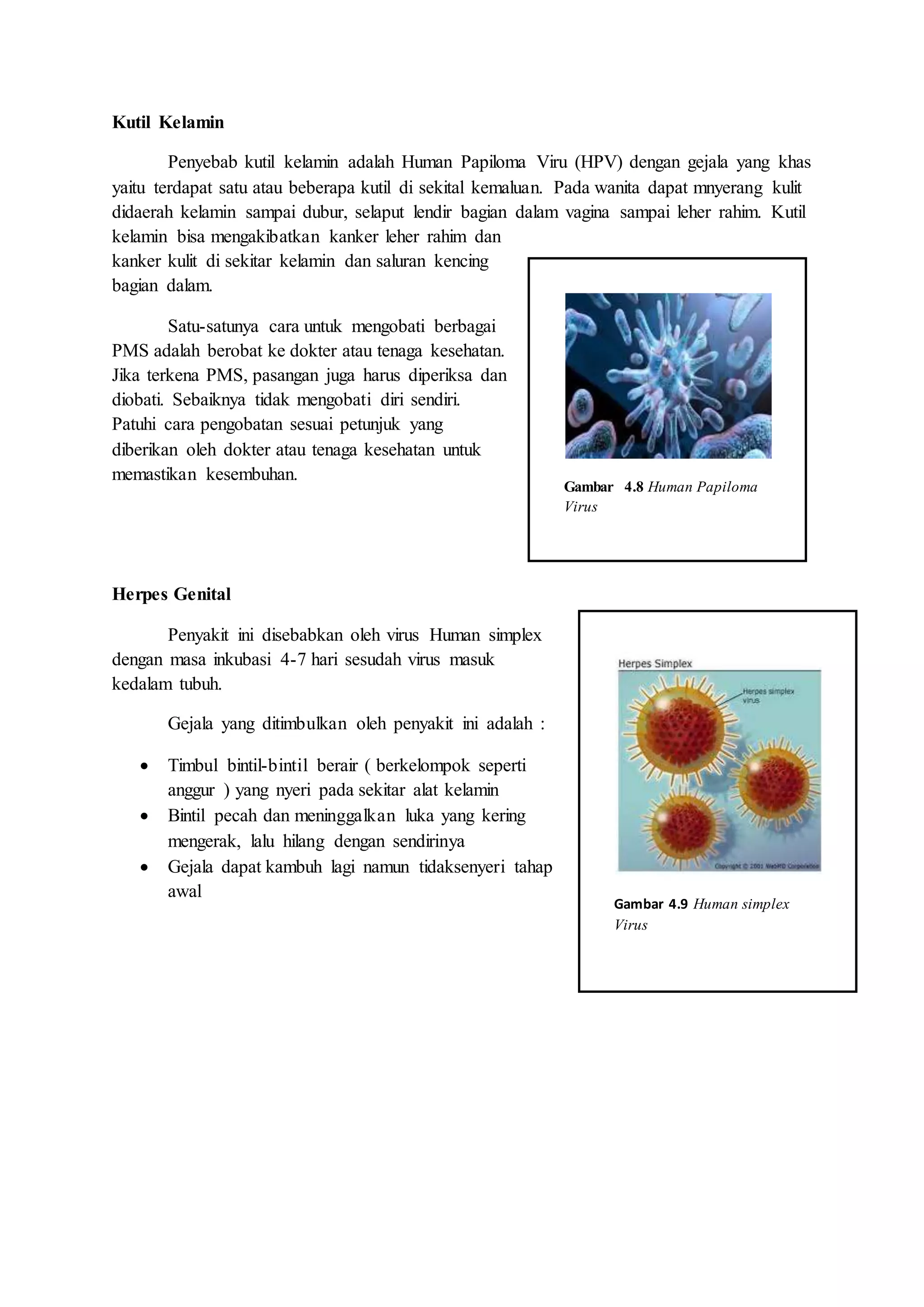 Kutil Kelamin
Penyebab kutil kelamin adalah Human Papiloma Viru (HPV) dengan gejala yang khas
yaitu terdapat satu atau beberapa kutil di sekital kemaluan. Pada wanita dapat mnyerang kulit
didaerah kelamin sampai dubur, selaput lendir bagian dalam vagina sampai leher rahim. Kutil
kelamin bisa mengakibatkan kanker leher rahim dan
kanker kulit di sekitar kelamin dan saluran kencing
bagian dalam.
Satu-satunya cara untuk mengobati berbagai
PMS adalah berobat ke dokter atau tenaga kesehatan.
Jika terkena PMS, pasangan juga harus diperiksa dan
diobati. Sebaiknya tidak mengobati diri sendiri.
Patuhi cara pengobatan sesuai petunjuk yang
diberikan oleh dokter atau tenaga kesehatan untuk
memastikan kesembuhan.
Herpes Genital
Penyakit ini disebabkan oleh virus Human simplex
dengan masa inkubasi 4-7 hari sesudah virus masuk
kedalam tubuh.
Gejala yang ditimbulkan oleh penyakit ini adalah :
 Timbul bintil-bintil berair ( berkelompok seperti
anggur ) yang nyeri pada sekitar alat kelamin
 Bintil pecah dan meninggalkan luka yang kering
mengerak, lalu hilang dengan sendirinya
 Gejala dapat kambuh lagi namun tidaksenyeri tahap
awal
Gambar 4.9 Human simplex
Virus
Gambar 4.8 Human Papiloma
Virus
 