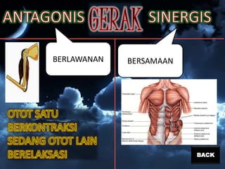 BERLAWANAN

BERSAMAAN

BACK

 