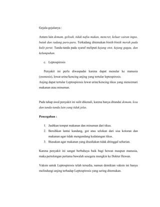 Gejala-gejalanya :
Antara lain demam, gelisah, tidak nafsu makan, mencret, keluar cairan ingus,
batuk dan radang paru-paru. Terkadang ditemukan bintik-bintik merah pada
kulit perut. Tanda-tanda pada syaraf meliputi kejang otot, kejang gagau, dan
kelumpuhan.
c. Leptospirosis
Penyakit ini perlu diwaspadai karena dapat menular ke manusia
(zoonosis), lewat urine/kencing anjing yang tertular leptospirosis.
Anjing dapat tertular Leptospirosis lewat urine/kencing tikus yang mencemari
makanan atau minuman.
Pada tahap awal penyakit ini sulit dikenali, karena hanya ditandai demam, lesu
dan tanda-tanda lain yang tidak jelas.
Pencegahan :
1. Jauhkan tempat makanan dan minuman dari tikus.
2. Bersihkan lantai kandang, got atau selokan dari sisa kotoran dan
makanan agar tidak mengundang kedatangan tikus.
3. Biasakan agar makanan yang disediakan tidak ditinggal seharian.
Karena penyakit ini sangat berbahaya baik bagi hewan maupun manusia,
maka pertolongan pertama bawalah sesegera mungkin ke Dokter Hewan.
Vaksin untuk Leptospirosis telah tersedia, namun demikian vaksin ini hanya
melindungi anjing terhadap Leptospirosis yang sering ditemukan.
 