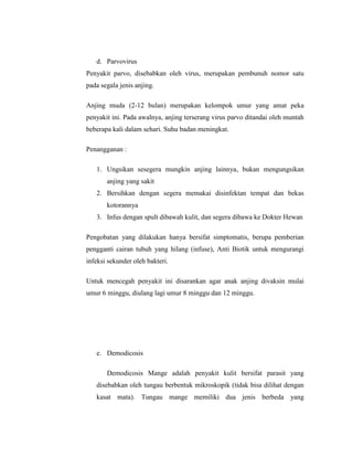 d. Parvovirus
Penyakit parvo, disebabkan oleh virus, merupakan pembunuh nomor satu
pada segala jenis anjing.
Anjing muda (2-12 bulan) merupakan kelompok umur yang amat peka
penyakit ini. Pada awalnya, anjing terserang virus parvo ditandai oleh muntah
beberapa kali dalam sehari. Suhu badan meningkat.
Penangganan :
1. Ungsikan sesegera mungkin anjing lainnya, bukan mengungsikan
anjing yang sakit
2. Bersihkan dengan segera memakai disinfektan tempat dan bekas
kotorannya
3. Infus dengan spult dibawah kulit, dan segera dibawa ke Dokter Hewan
Pengobatan yang dilakukan hanya bersifat simptomatis, berupa pemberian
pengganti cairan tubuh yang hilang (infuse), Anti Biotik untuk mengurangi
infeksi sekunder oleh bakteri.
Untuk mencegah penyakit ini disarankan agar anak anjing divaksin mulai
umur 6 minggu, diulang lagi umur 8 minggu dan 12 minggu.
e. Demodicosis
Demodicosis Mange adalah penyakit kulit bersifat parasit yang
disebabkan oleh tungau berbentuk mikroskopik (tidak bisa dilihat dengan
kasat mata). Tungau mange memiliki dua jenis berbeda yang
 