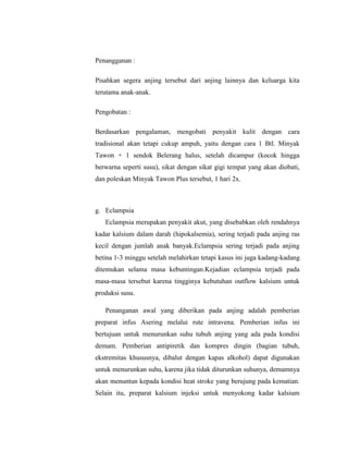 Penangganan :
Pisahkan segera anjing tersebut dari anjing lainnya dan keluarga kita
terutama anak-anak.
Pengobatan :
Berdasarkan pengalaman, mengobati penyakit kulit dengan cara
tradisional akan tetapi cukup ampuh, yaitu dengan cara 1 Btl. Minyak
Tawon + 1 sendok Belerang halus, setelah dicampur (kocok hingga
berwarna seperti susu), sikat dengan sikat gigi tempat yang akan diobati,
dan poleskan Minyak Tawon Plus tersebut, 1 hari 2x.
g. Eclampsia
Eclampsia merupakan penyakit akut, yang disebabkan oleh rendahnya
kadar kalsium dalam darah (hipokalsemia), sering terjadi pada anjing ras
kecil dengan jumlah anak banyak.Eclampsia sering terjadi pada anjing
betina 1-3 minggu setelah melahirkan tetapi kasus ini juga kadang-kadang
ditemukan selama masa kebuntingan.Kejadian eclampsia terjadi pada
masa-masa tersebut karena tingginya kebutuhan outflow kalsium untuk
produksi susu.
Penanganan awal yang diberikan pada anjing adalah pemberian
preparat infus Asering melalui rute intravena. Pemberian infus ini
bertujuan untuk menurunkan suhu tubuh anjing yang ada pada kondisi
demam. Pemberian antipiretik dan kompres dingin (bagian tubuh,
ekstremitas khususnya, dibalut dengan kapas alkohol) dapat digunakan
untuk menurunkan suhu, karena jika tidak diturunkan suhunya, demamnya
akan menuntun kepada kondisi heat stroke yang berujung pada kematian.
Selain itu, preparat kalsium injeksi untuk menyokong kadar kalsium
 