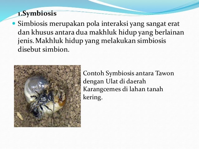 Intraksi dan pengaruh cahaya dan suhu terhadap tumbuhan