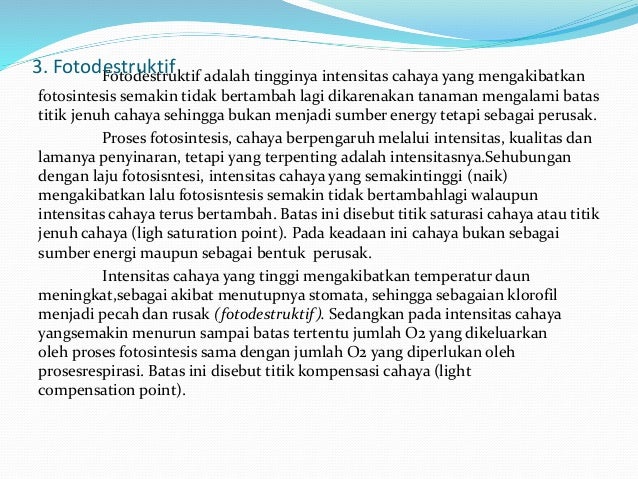 intraksi dan pengaruh cahaya dan suhu terhadap tumbuhan