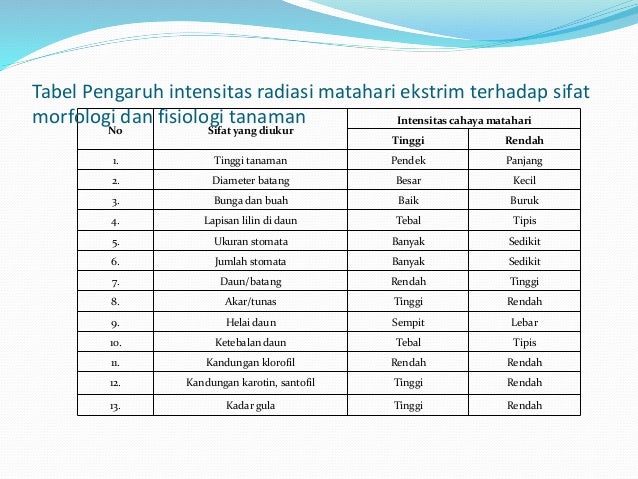 intraksi dan pengaruh cahaya dan suhu terhadap tumbuhan 