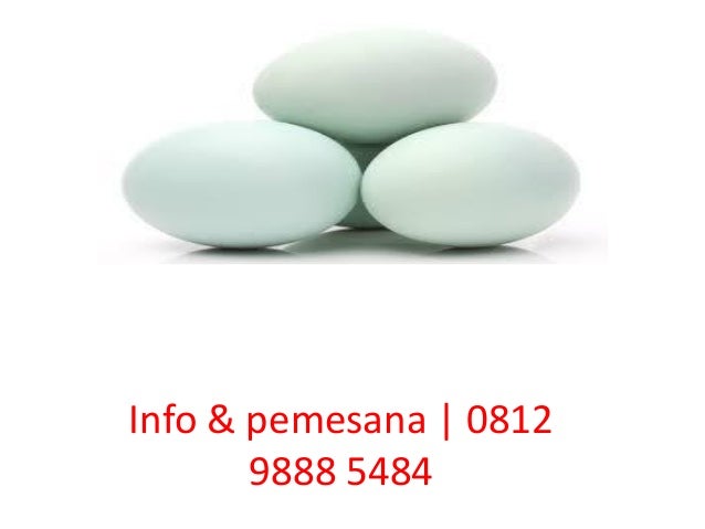 jual telur asin |0812 9888 5484