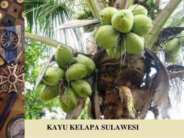 struktur kayu I