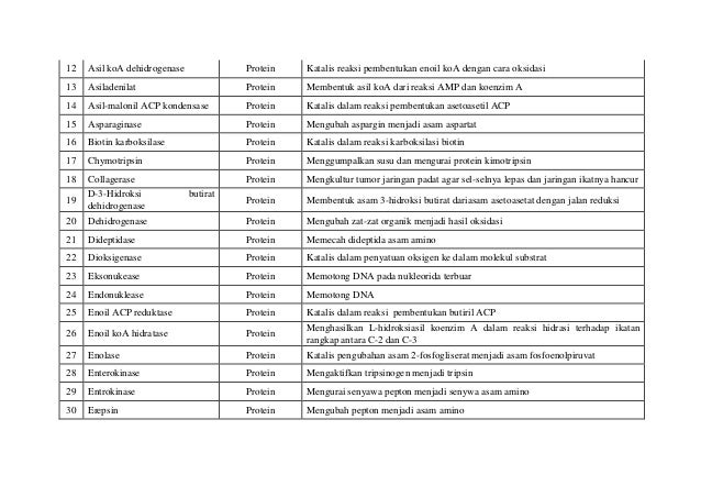 Daftar Enzim Yang Terdapat Di Dalam Tubuh Manusia Dan Fungsinya Daftar Enzim Yang Terdapat Di Dalam Tubuh Manusia Dan Fungsinya