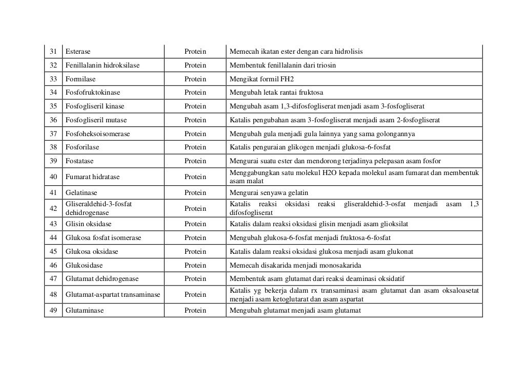 Daftar Enzim yang Terdapat di dalam Tubuh Manusia dan Fungsinya