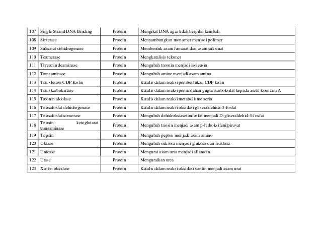 Daftar Enzim Yang Terdapat Di Dalam Tubuh Manusia Dan Fungsinya