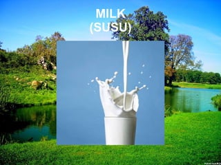 MILK (SUSU)