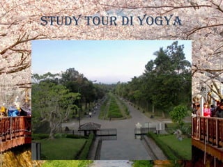 Study tour di Yogya
 