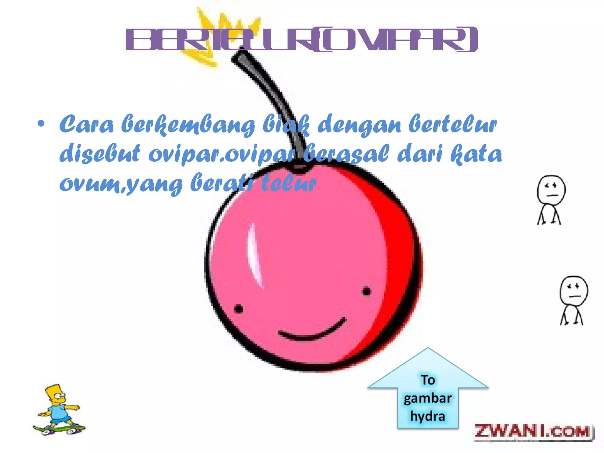 Bertelur(Ovipar) Cara berkembang biak dengan bertelur disebut ovipar.ovipar berasal dari kata ovum,yang berati telur 