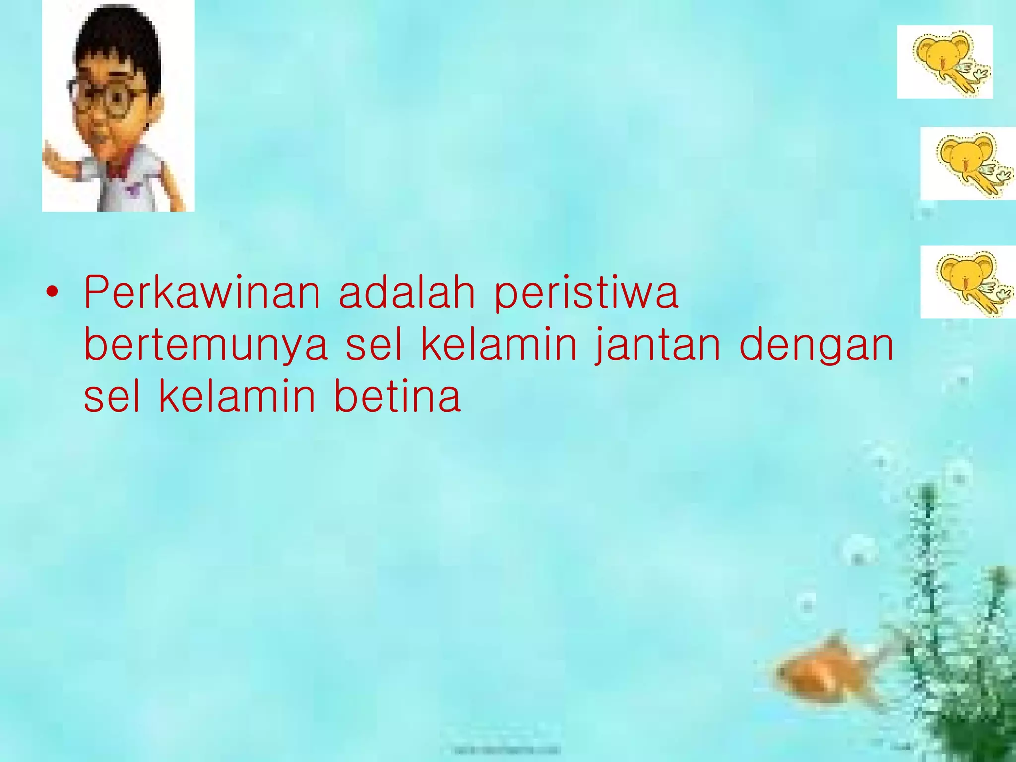 Perkawinan adalah peristiwa bertemunya sel kelamin jantan dengan sel kelamin betina 