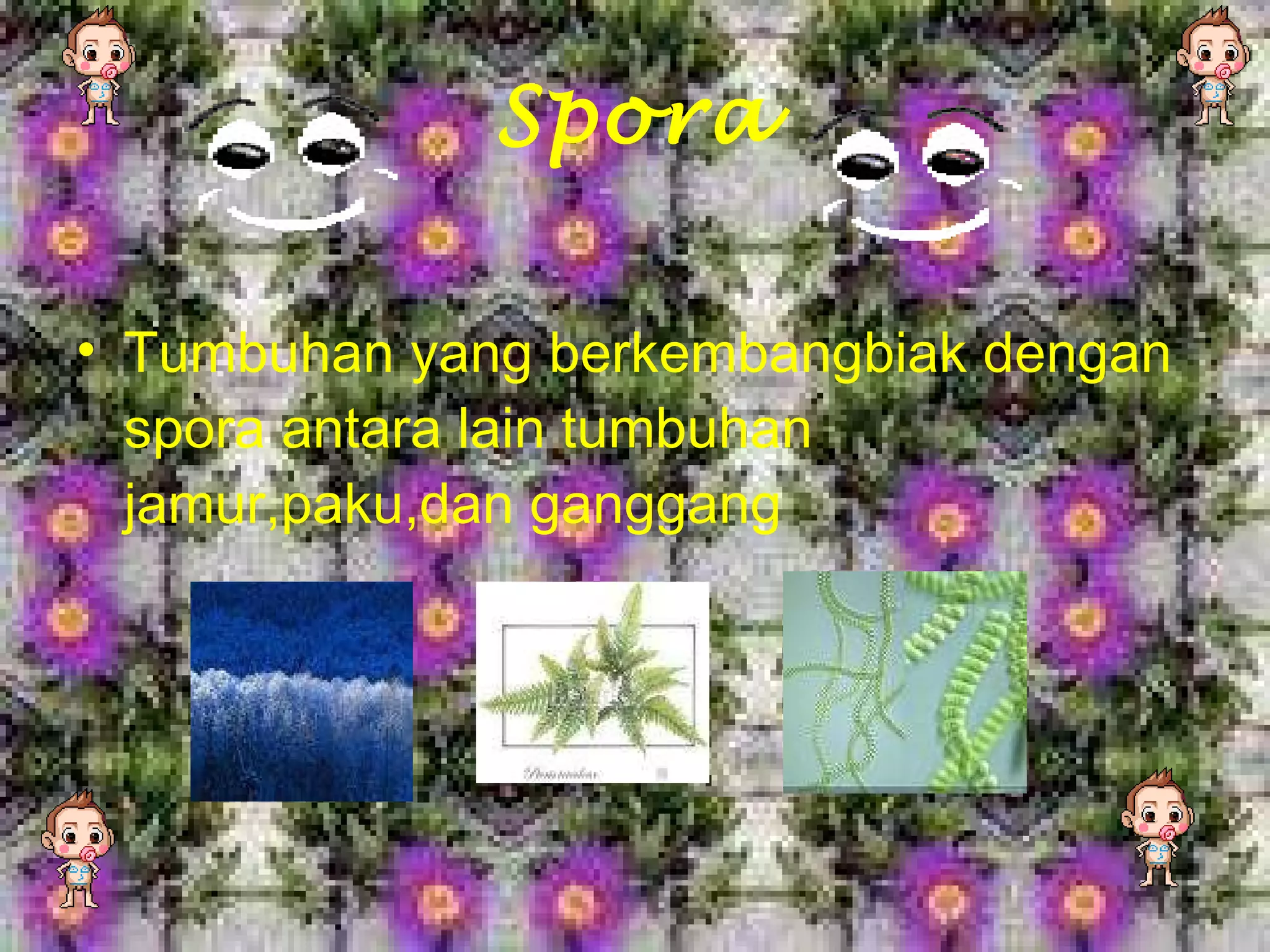 Spora Tumbuhan yang berkembangbiak dengan spora antara lain tumbuhan jamur,paku,dan ganggang 