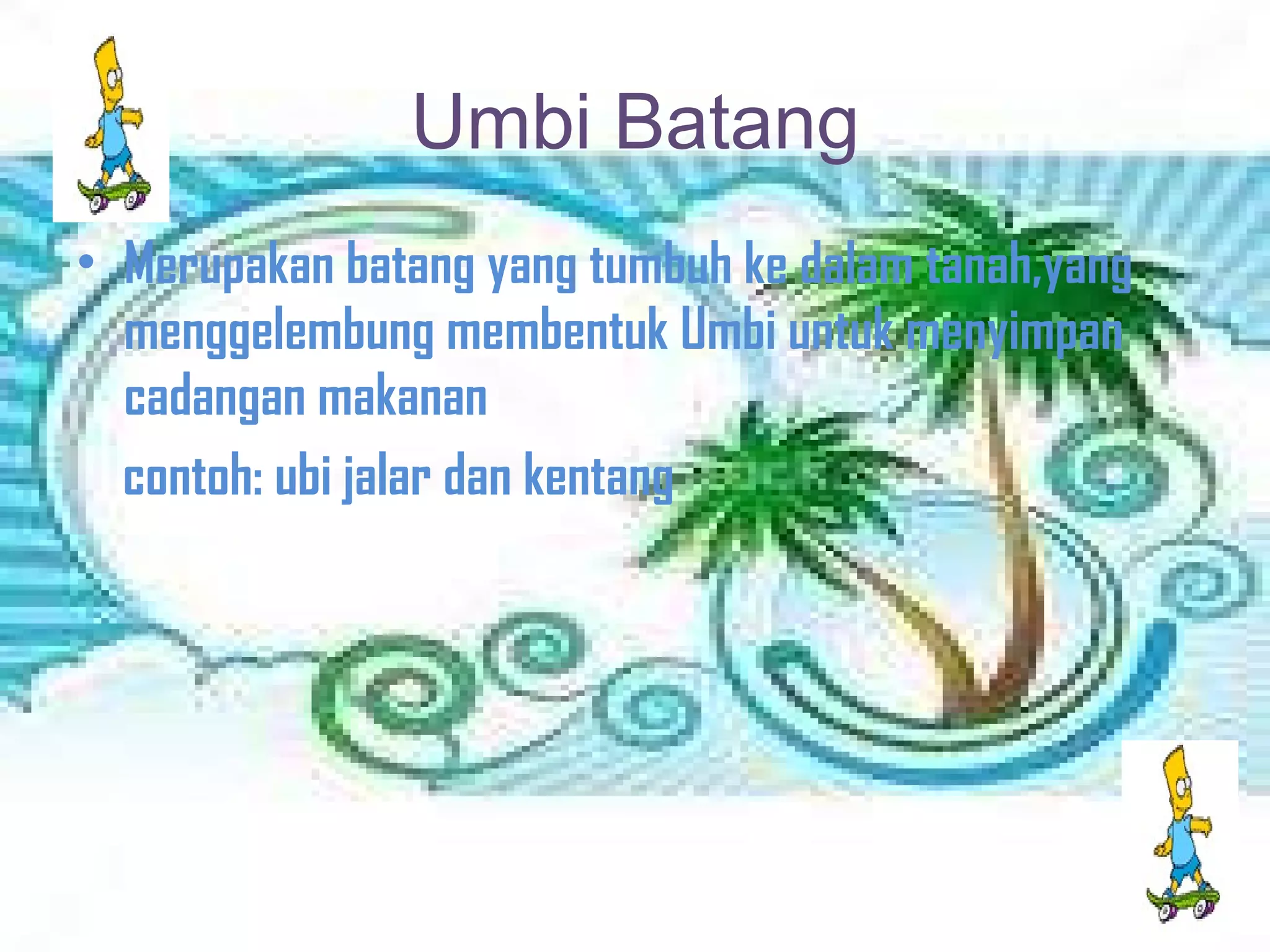 Umbi Batang Merupakan batang yang tumbuh ke dalam tanah,yang menggelembung membentuk Umbi untuk menyimpan cadangan makanan  contoh: ubi jalar dan kentang 