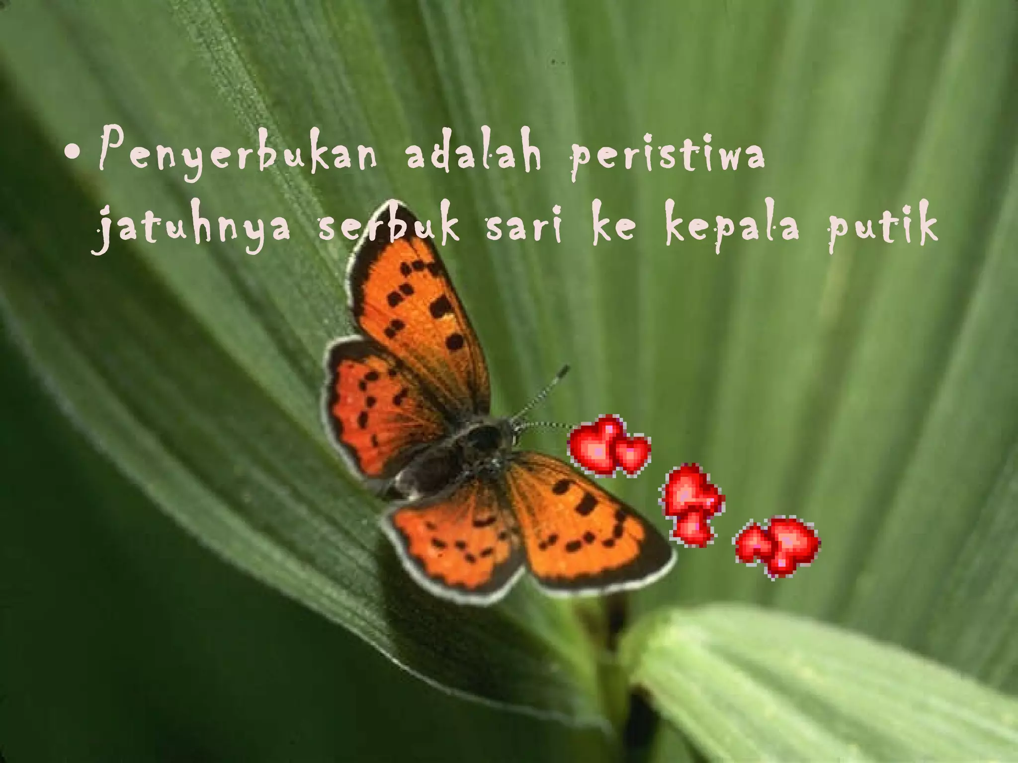 Penyerbukan adalah peristiwa jatuhnya serbuk sari ke kepala putik 