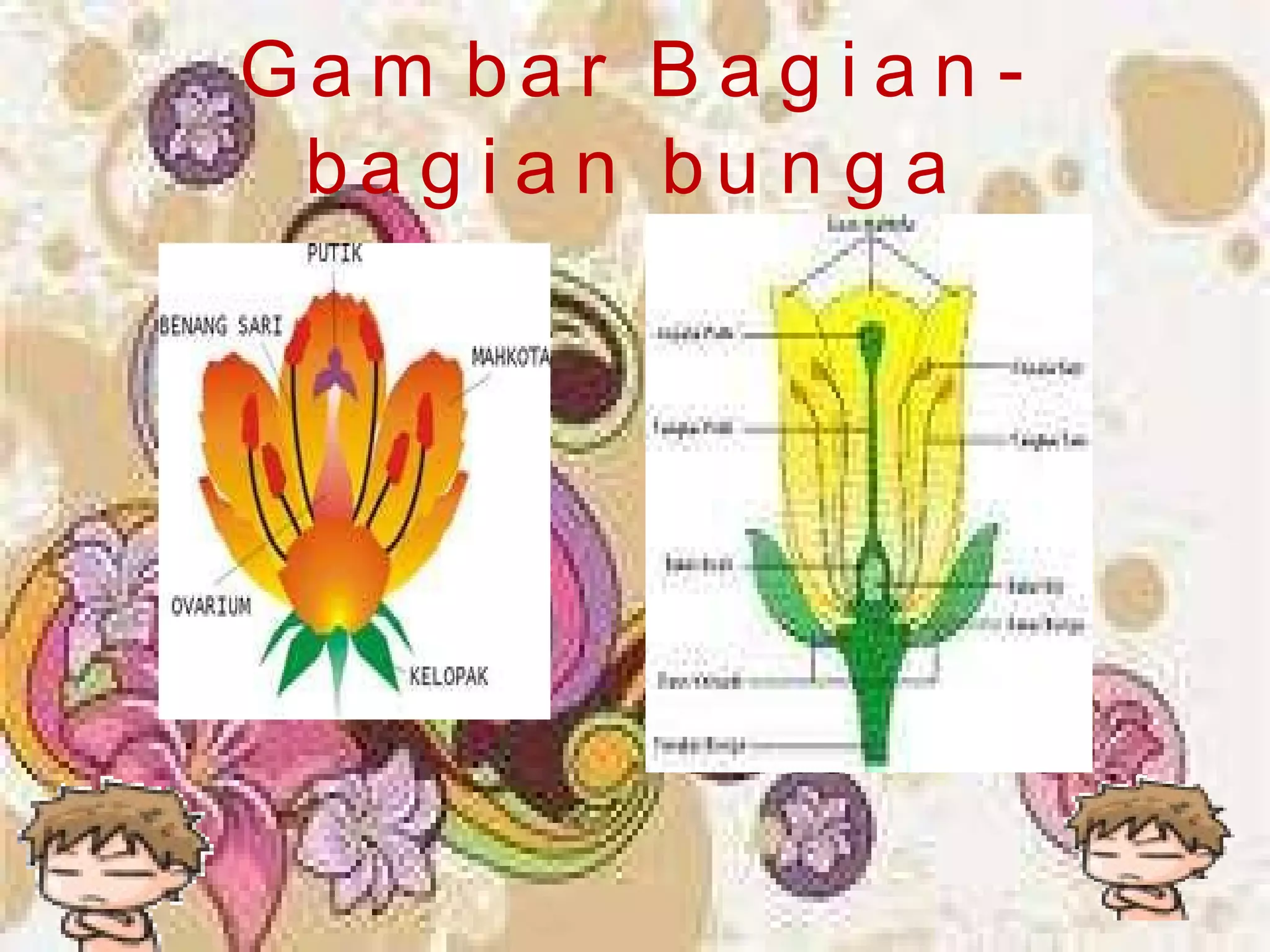 Gambar Bagian-bagian bunga 